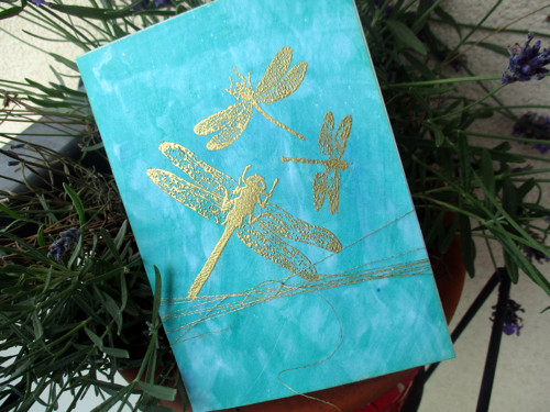 Dragonflies II. — foto 4