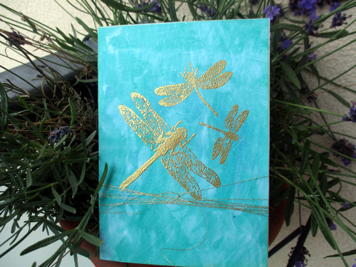 Dragonflies II. — foto 2