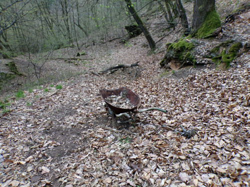 Klouzek a holubinky v octě, 300 gramů — foto 6