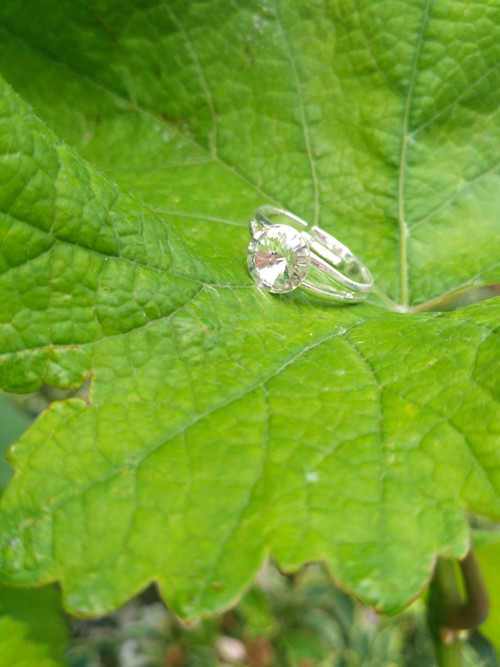 Obyčejně neobyčejný — foto 2
