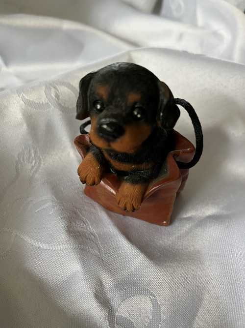 Miniatury- štěně v tašce — foto 2