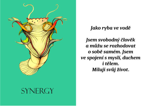 Synergy - přírodní olejový parfém — foto 4