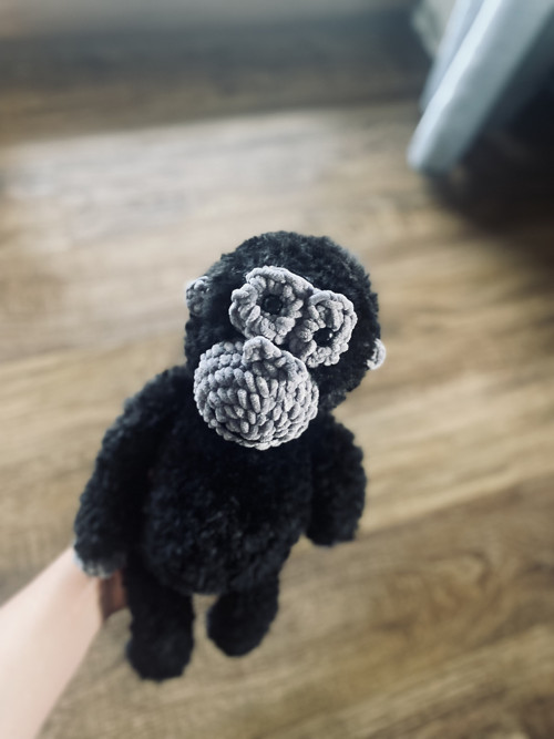 Gorila — foto 4