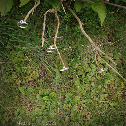 Jiskry... — foto 2