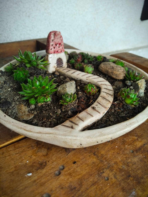 Miska osázená — foto 5