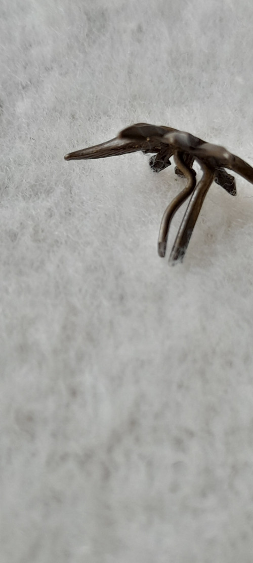 Spojař — foto 4