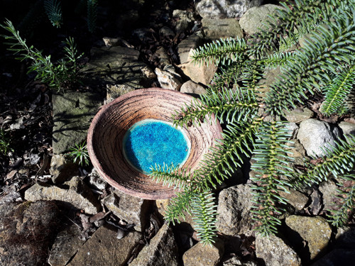 Studánka pro ptáčky, včelky, čmeláčky i ježky — foto 4