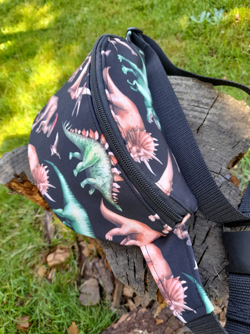Ledvinka-menší-dinosauři — foto 2