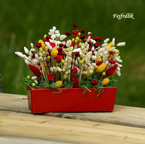 Zahrádka s margaretkami .. — foto 2