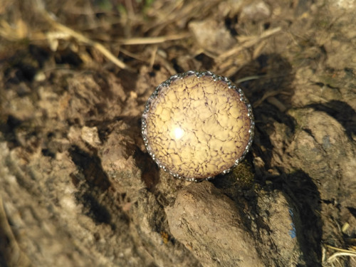 V hřejivých tónech — foto 3