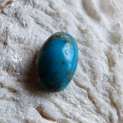 Tyrkys pravý - 2 cm — foto 3