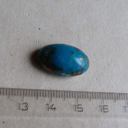 Tyrkys pravý - 2 cm — foto 5