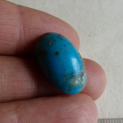 Tyrkys pravý - 2 cm — foto 2