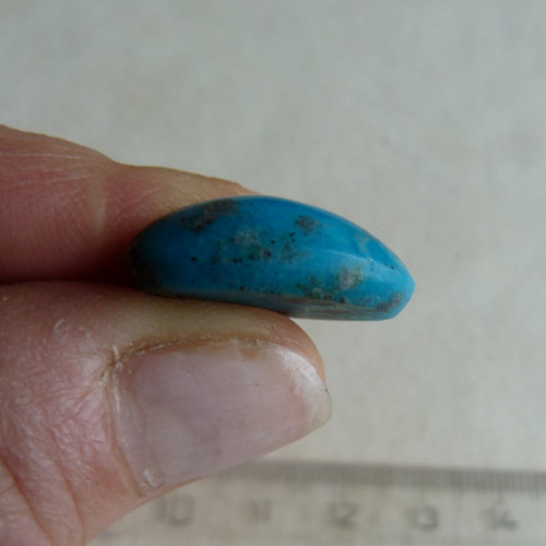 Tyrkys pravý - 2 cm — foto 4