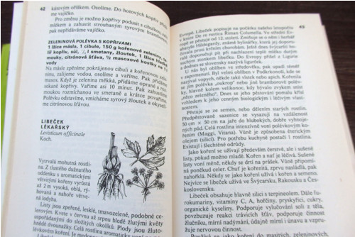 Vitamíny z domova i zdaleka — foto 3