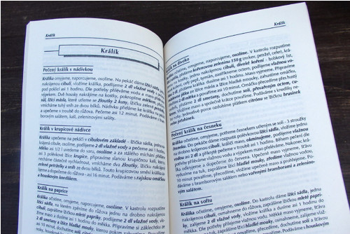 Žebrácká kuchařka — foto 3