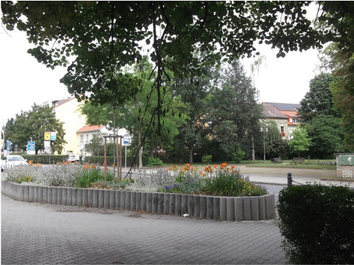Ranní procházka - varianty 1.7.24. — foto 5