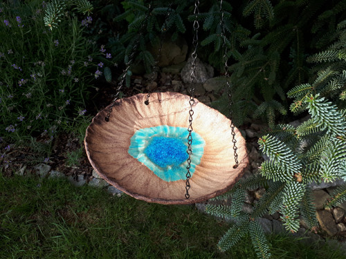 Studánka pro ptáčky , včelky a jiný hmyz — foto 4