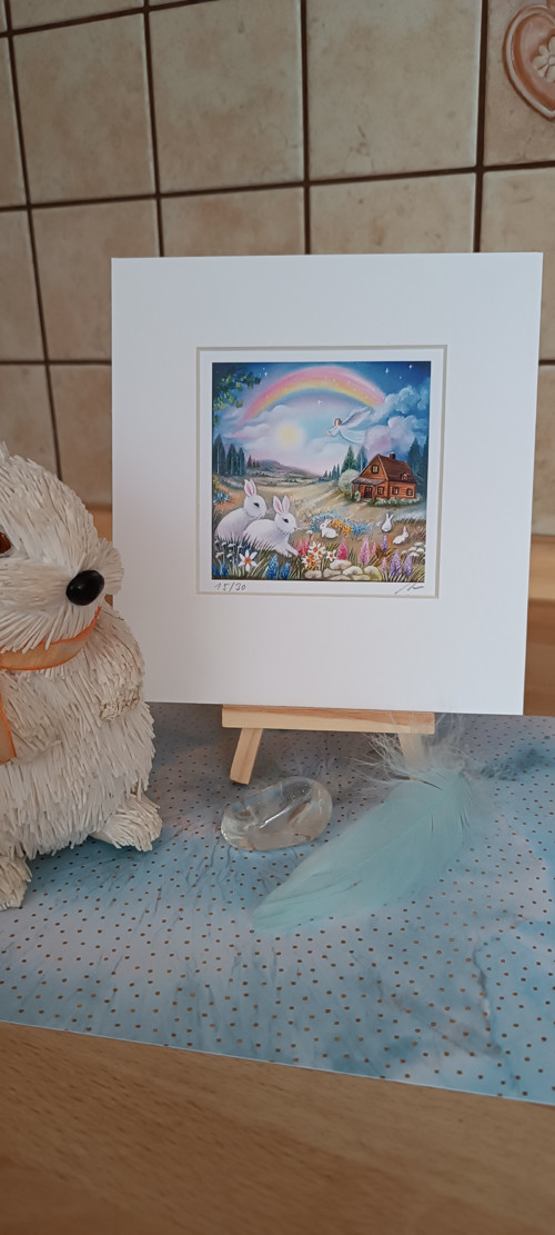 Údolí bílých králíčků — foto 3