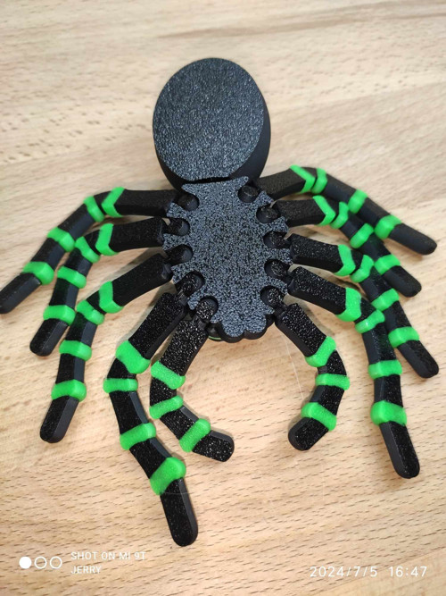 Tarantule — foto 3