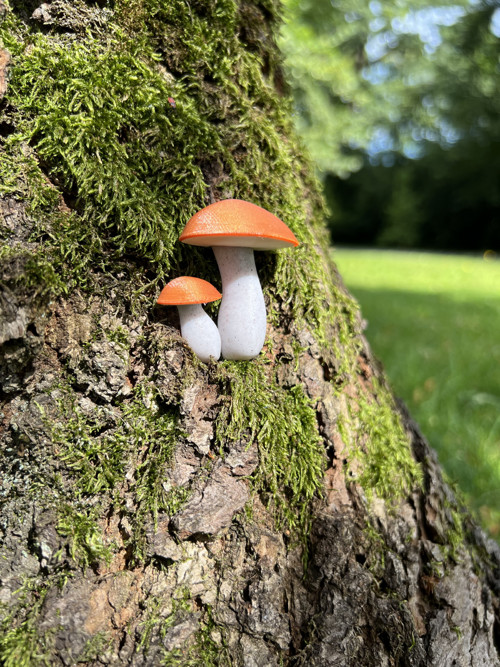 Brož křemenáč — foto 3