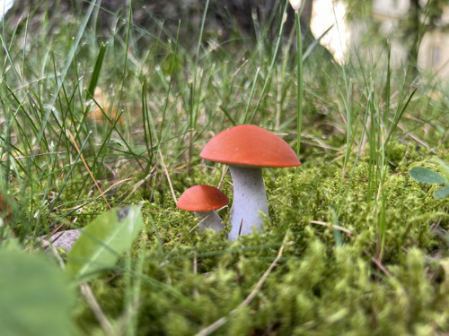 Brož křemenáč — foto 4