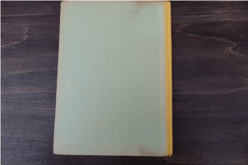 Teorie literatury — foto 6