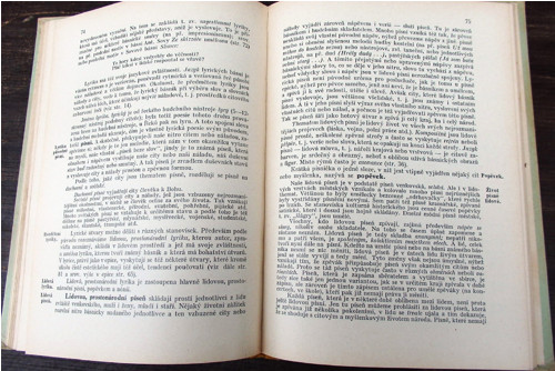 Teorie literatury — foto 4