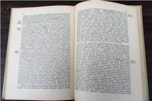 Teorie literatury — foto 5