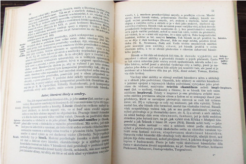 Teorie literatury — foto 3