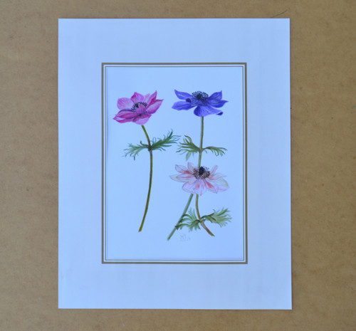 Originál, akvarel - anemonky- 29,5 x 21cm — foto 4