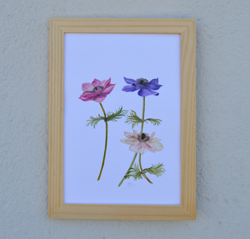 Originál, akvarel - anemonky- 29,5 x 21cm — foto 6