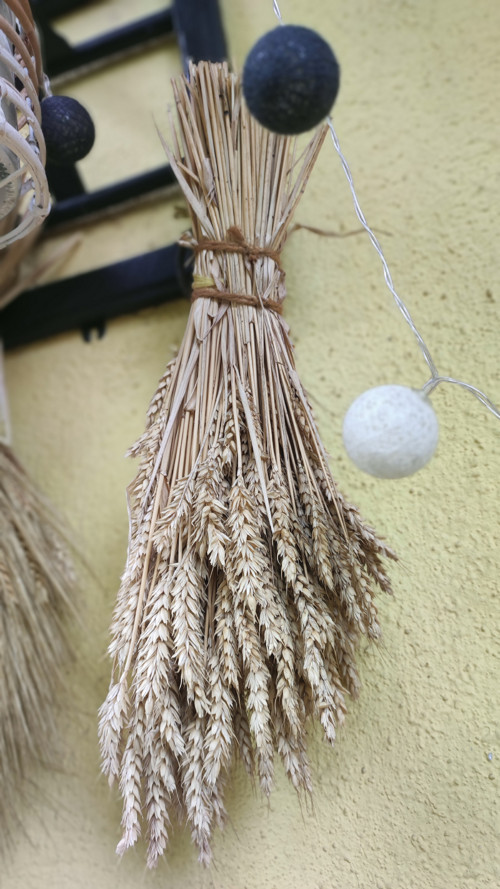 Bohatý Snop oves / obilí — foto 5