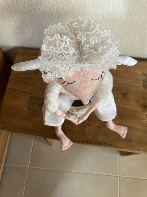 Anděl s hvězdou na čele — foto 5