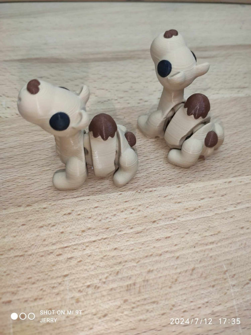 Malý velbloud — foto 2