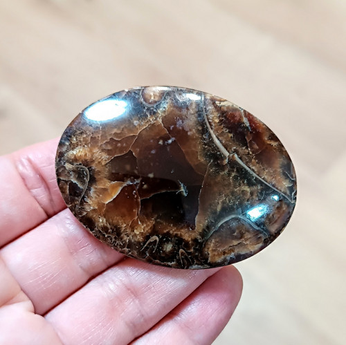 Amonitový Simbircit/Simbercit, ID 4038, 55x41 mm — foto 3