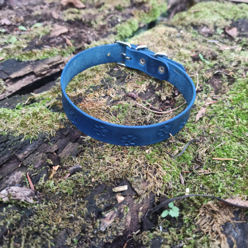 Choker psí stopy v modré — foto 2