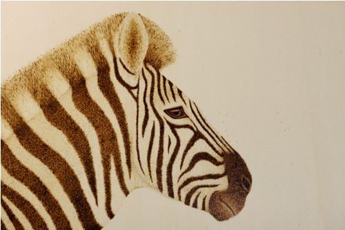 Vypálená zebra do dřeva — foto 2