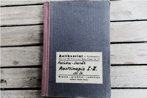 Rostlinopis — foto 6