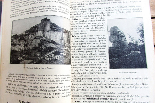 Rostlinopis — foto 4