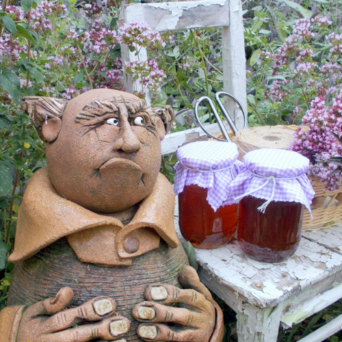 Dobromyslový sirup, 420 gramů — foto 3