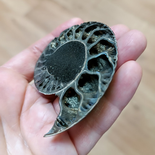 Pyritový Amonit, ID 4100, 67x53 mm — foto 3