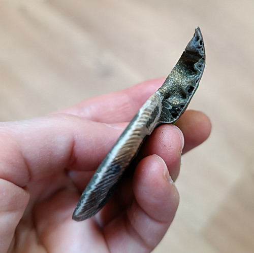 Pyritový Amonit, ID 4100, 67x53 mm — foto 2