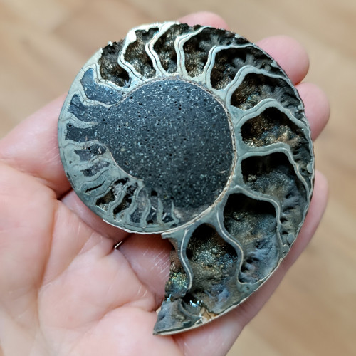 Pyritový Amonit, ID 4100, 67x53 mm — foto 4