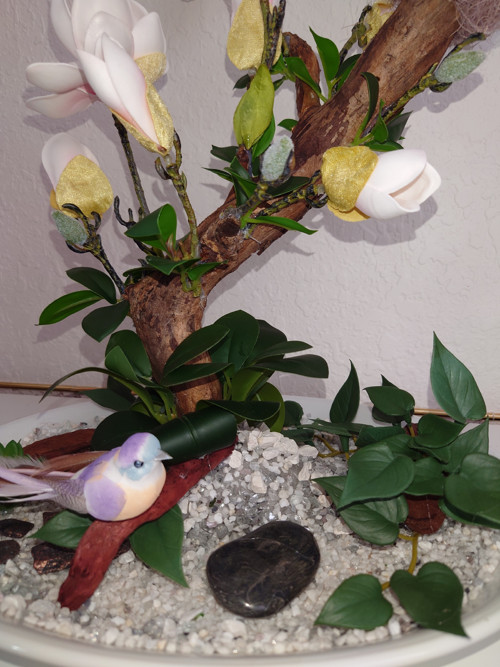 Magnolie bílá - strom — foto 2
