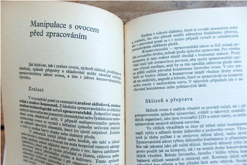 Zpracování ovoce — foto 2