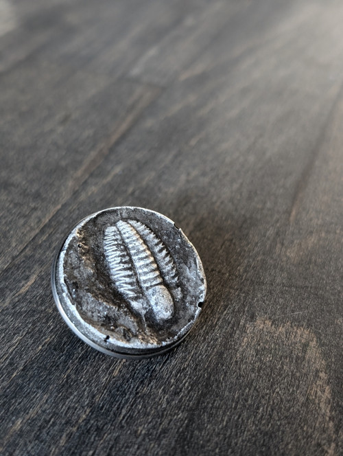 Černý Trilobit — foto 3