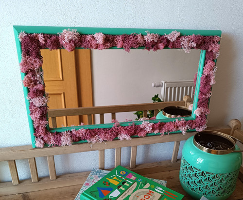 Mechové zrcadlo — foto 3