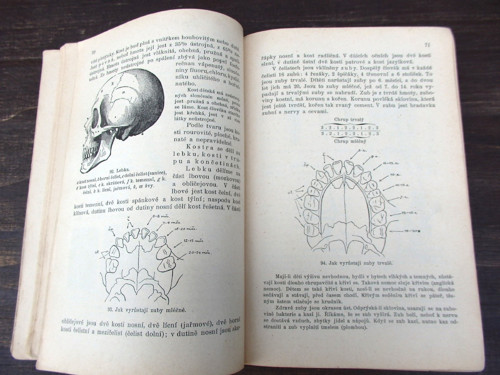 Přírodopis — foto 3