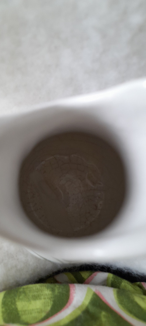Žluté květy — foto 4